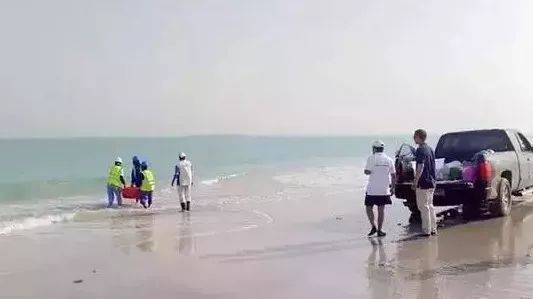 bifa·必发(中国区)唯一官方网站