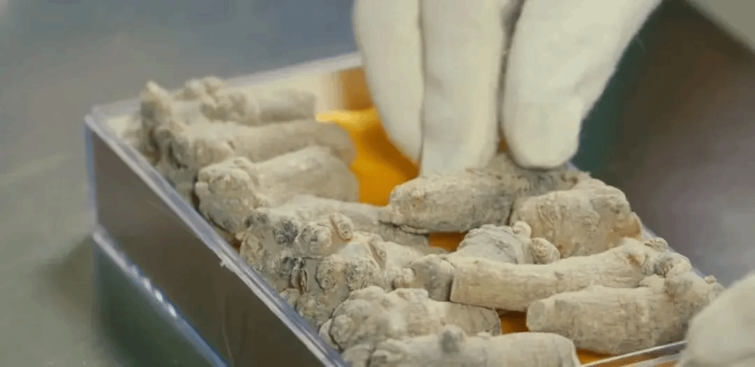 bifa·必发(中国区)唯一官方网站