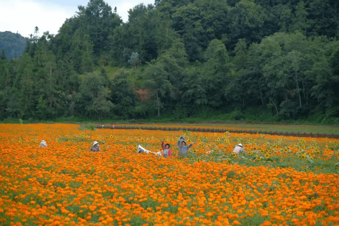 bifa·必发(中国区)唯一官方网站